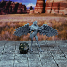 Picture of print of Harpy - Tabletop Miniature