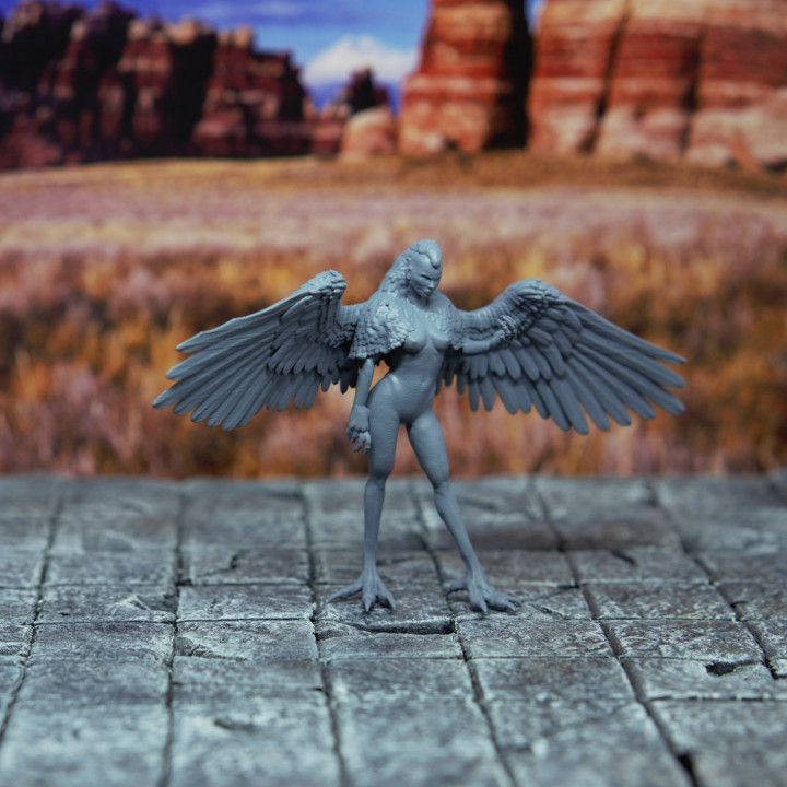 Harpy - Tabletop Miniature image