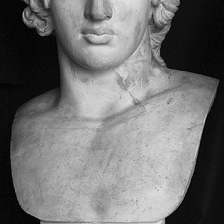 Portrait of Antinous (as Dionysus?) image