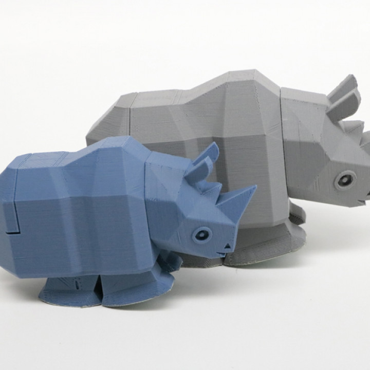 Running Rhino image