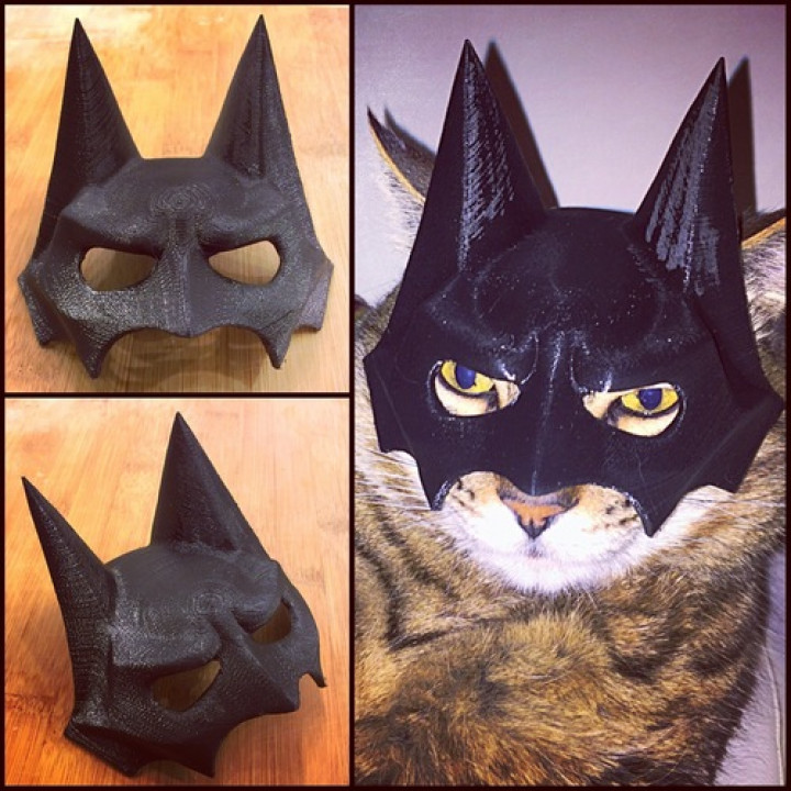 Bat-Cat mask image