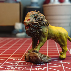 Picture of print of Lion