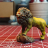Lion print image