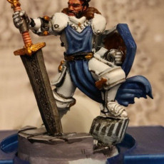 Picture of print of Male Paladin - Human/Half-orc (32mm scale miniature)