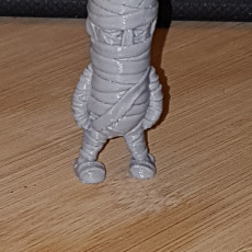Picture of print of Mini Mummy - single and multimaterial version
