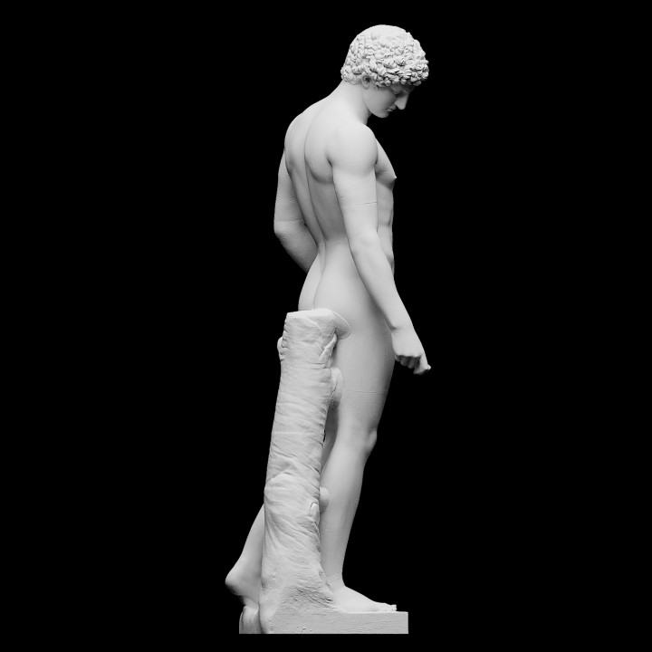The Capitoline Antinous image