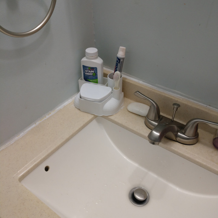 Bathroom Denture Organizer image