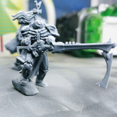 Picture of print of Grim reaper leader aspect warrior