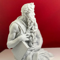 Picture of print of Moses (Upper Half)