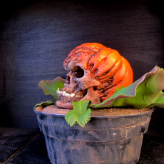 Picture of print of Free Evil Pumpkin Skull Sample