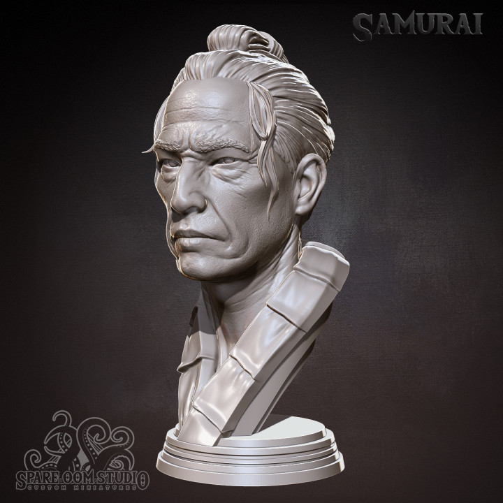 Samurai Bust image