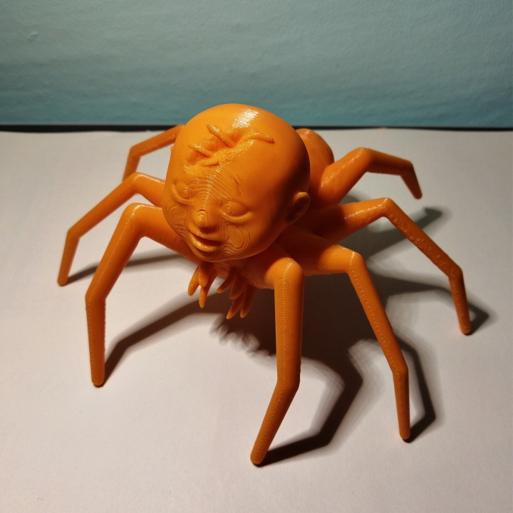 Baby with the body of a spider image