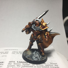 Picture of print of Sigfrido Dragonbane - Fighters Guild Hero