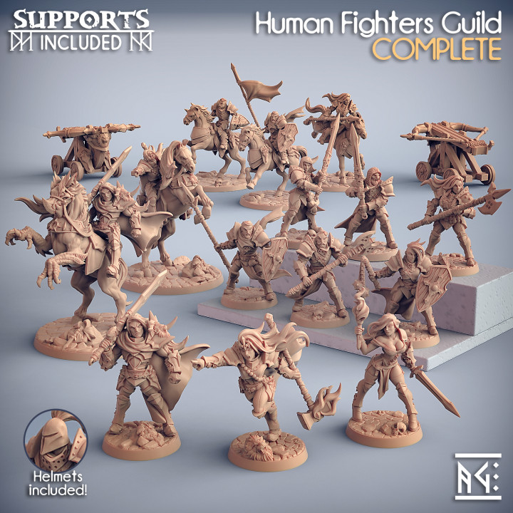 Human Fighters Guild (presupported) image