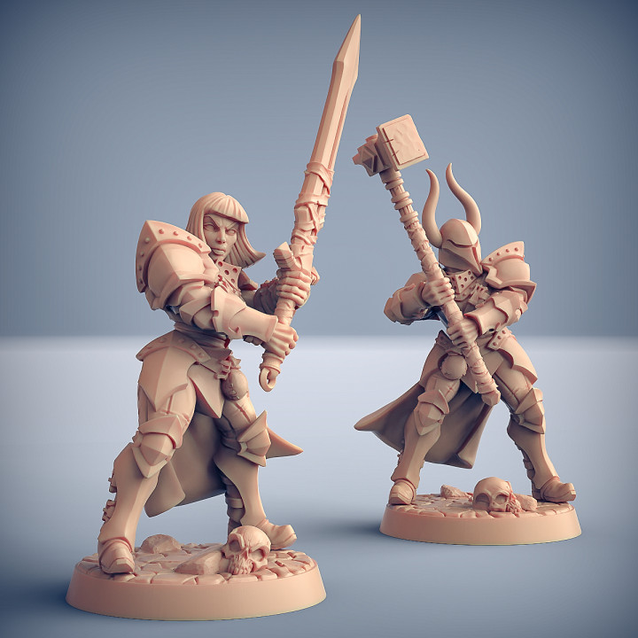 Human Fighters Guild - 6 Modular image