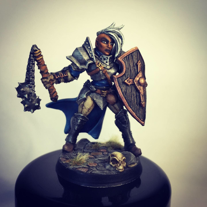Human Fighters Guild - C (Lady) Modular image