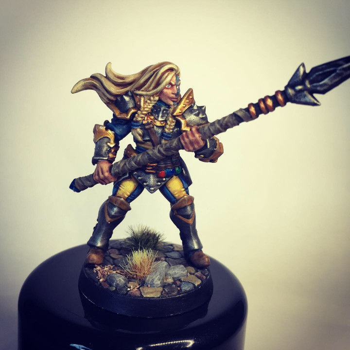 Human Fighters Guild - D (Lady) Modular image
