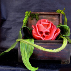 Picture of print of Deadly Rose
