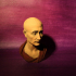 Portrait of Julius Caesar (?), The Green Caesar print image