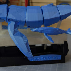 Picture of print of Save the Whales (Kinetic Whales)