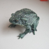 Realistic Toad print image