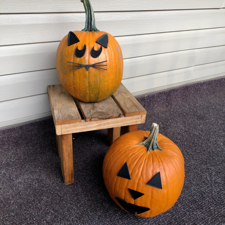 Mr. Pumpkin Head/Halloween Dog Pumpkin Face/Easy Kids Halloween Craft image
