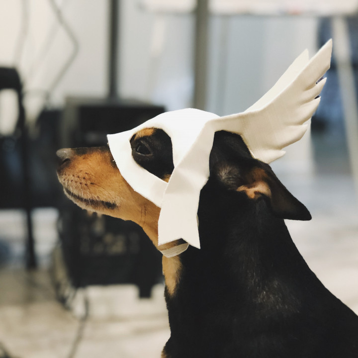A creative dog Halloween mask designed in SelfCAD image