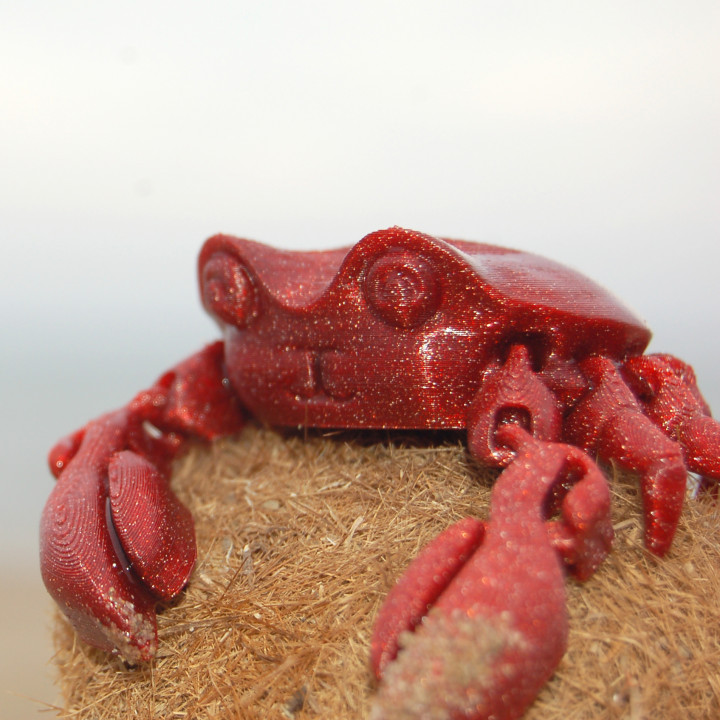 Articulated Crab image