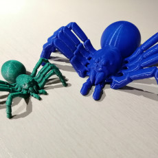 Picture of print of Articulated Tarantula