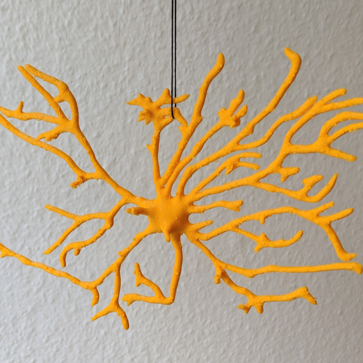 Astrocyte Ornament image