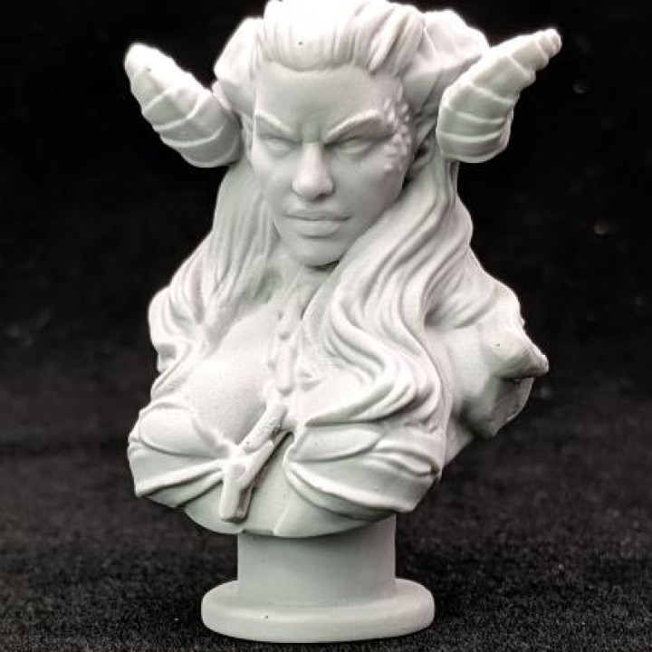 Succubus Busts [Pre-Supported] image