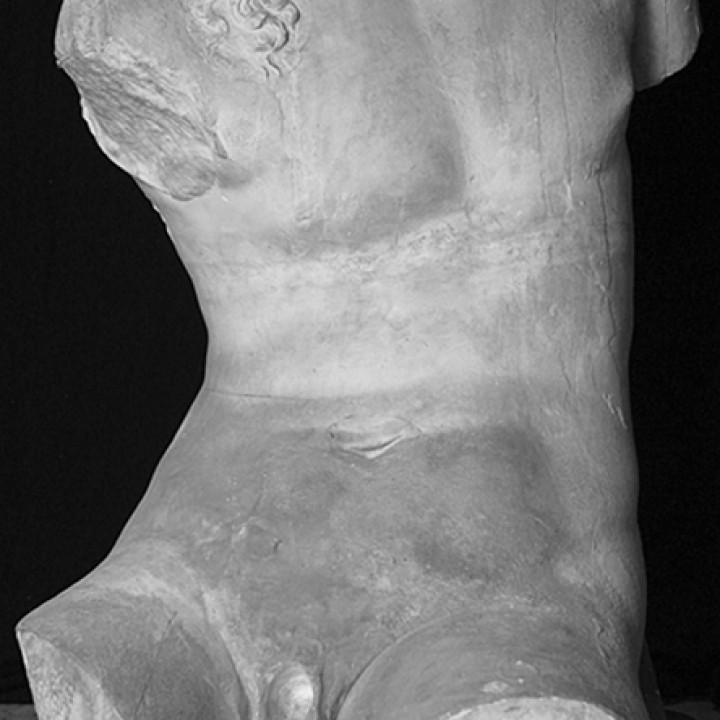 Farnese Dionysos image