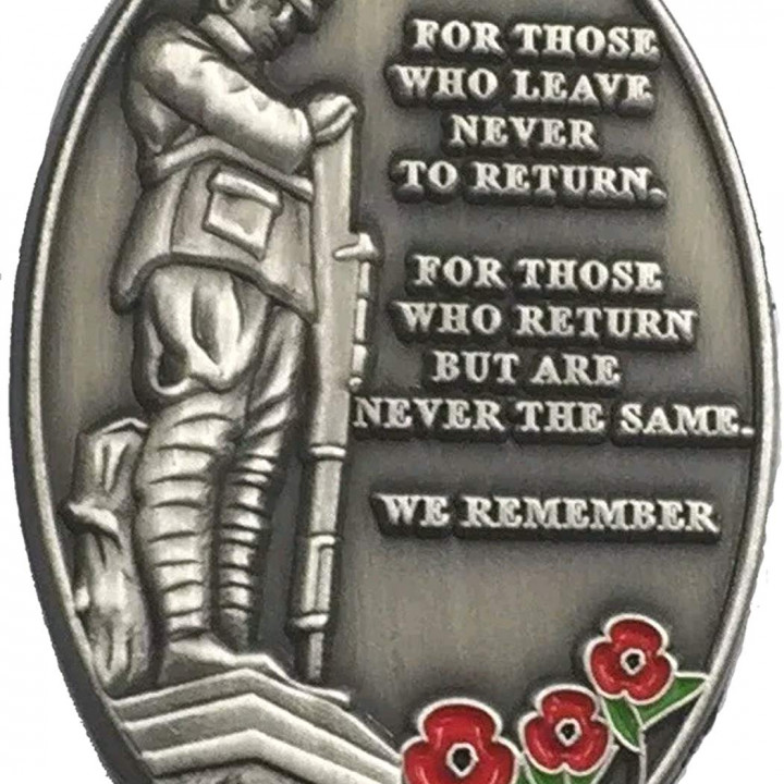 Soldier Plaques - Poppy Day 2019 image
