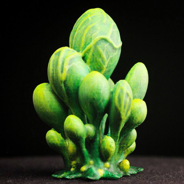 Tabletop plant: "Blob Crowd Plant" (Alien Vegetation 15) image