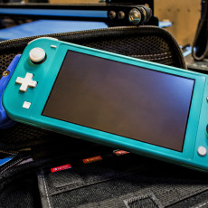 Picture of print of Nintendo Switch Lite Grip