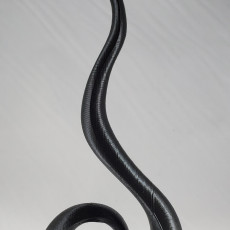 Picture of print of Spiral decorative flame