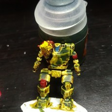 Picture of print of HBK-4G Hunchback for Battletech