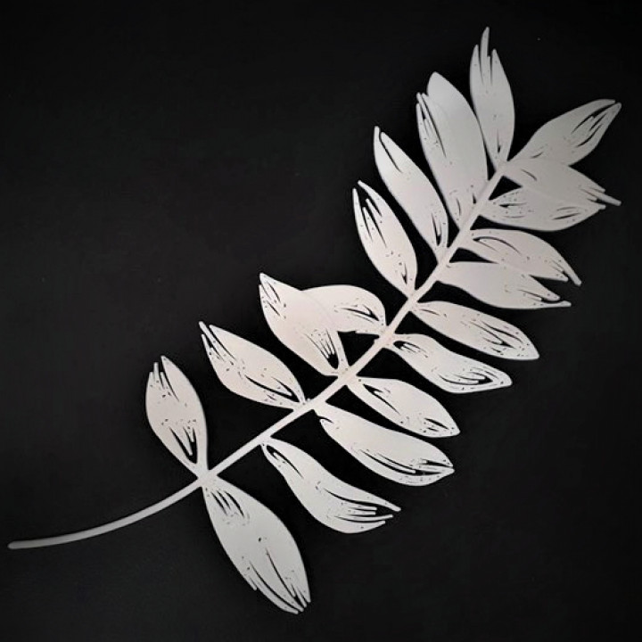 Pinnate Leaf image
