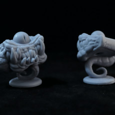 Picture of print of Book Mimic Miniature