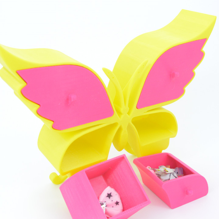 Butterfly box image