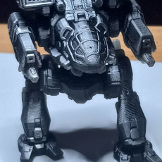 Picture of print of Madcat Mk II Prime for Battletech