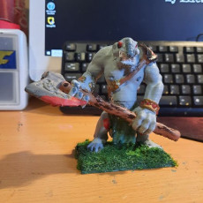 Picture of print of Troll Miniature version 1
