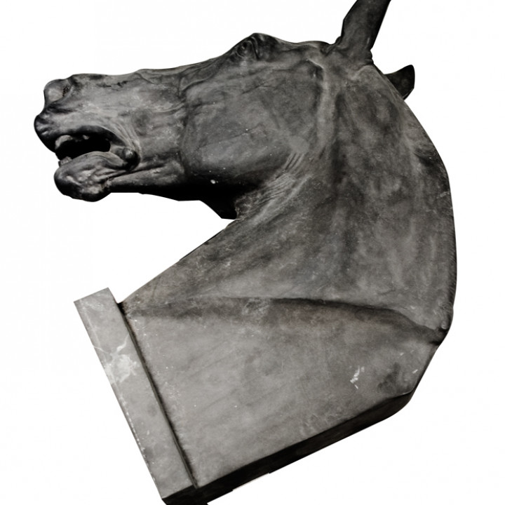 Head of a Horse. Study for Equestrian Statue of Christian IX image