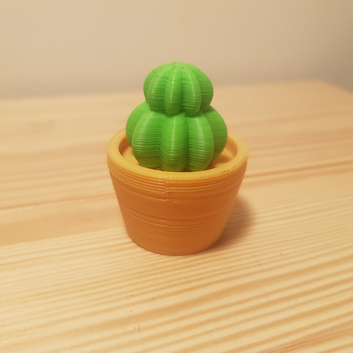 Mini Cactus pot image