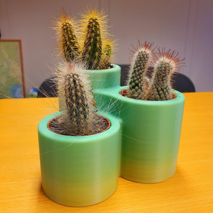 Cactus pot x3 image