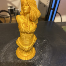 Picture of print of Wonder Woman bust