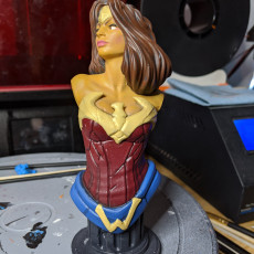 Picture of print of Wonder Woman bust