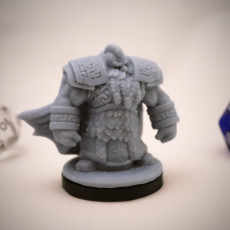 Picture of print of Dwarven Infantry 02 Miniature - pre-supported