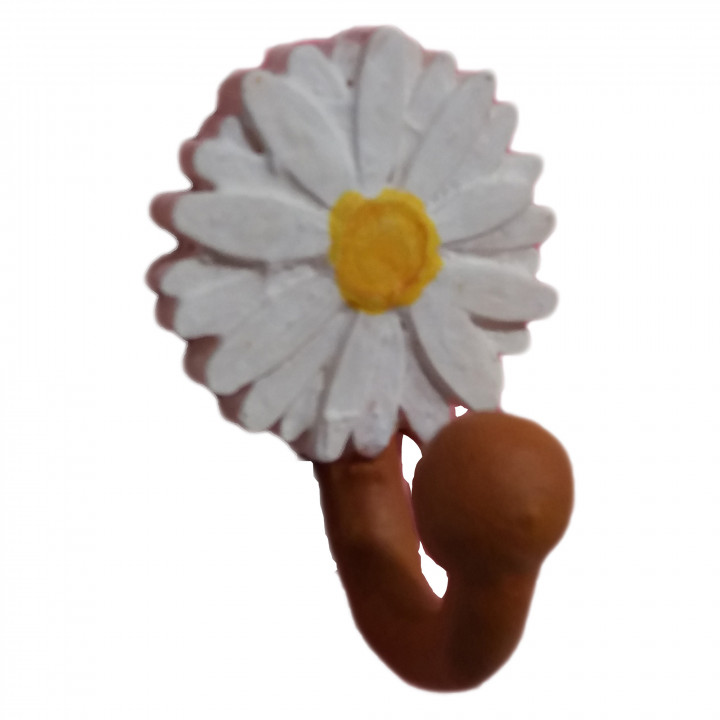 Hook with daisy and ball image