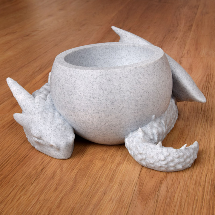 Dragon bowl image